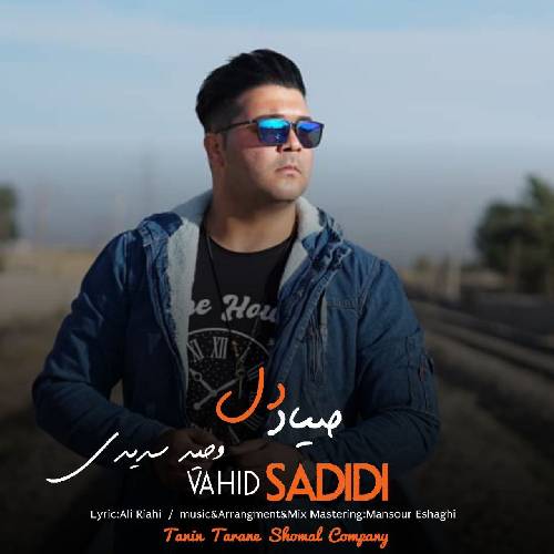 وحید سدیدی صیاد دل